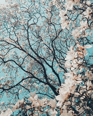 Frühling