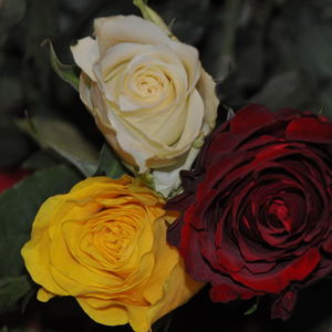 Segensfeier für Liebende