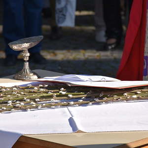 Palmweihe vor der Kirche