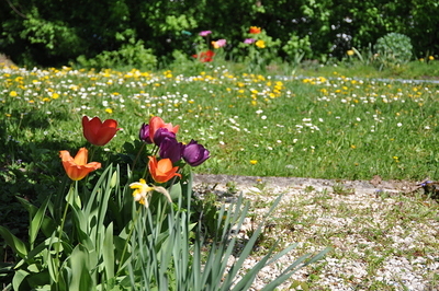 Pfarrgarten