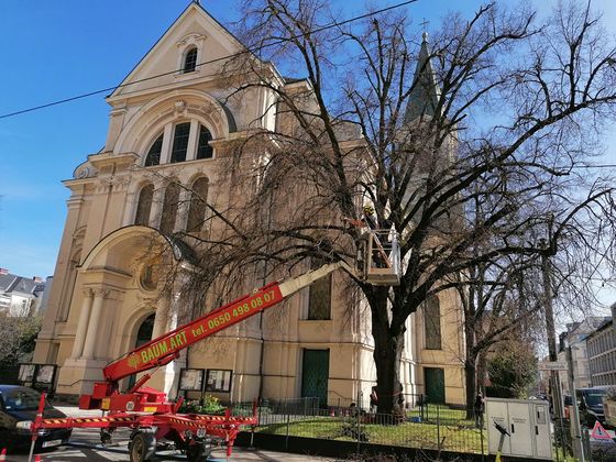 April 2022 - Fa. BAUM.ART