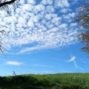 Gunskirchener Pilgertag 2022
