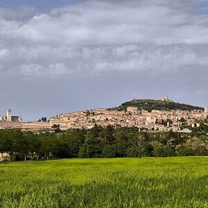 Assisi