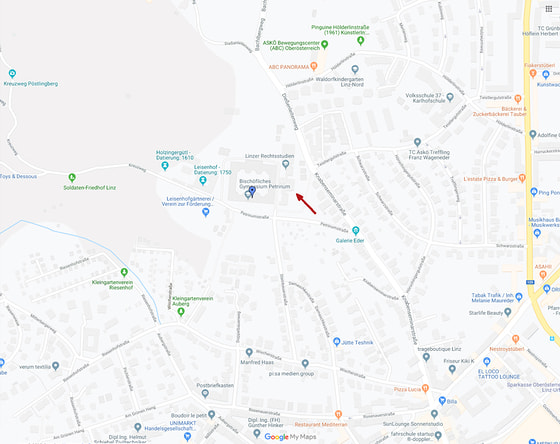 Petrinum Lageplan / GoogleMaps Petrinum Lageplan