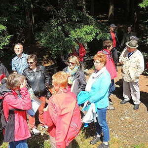 Labyrintheweg Hofkirchen