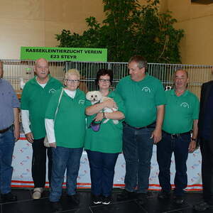 Fest des Hl. Franz von Assisi