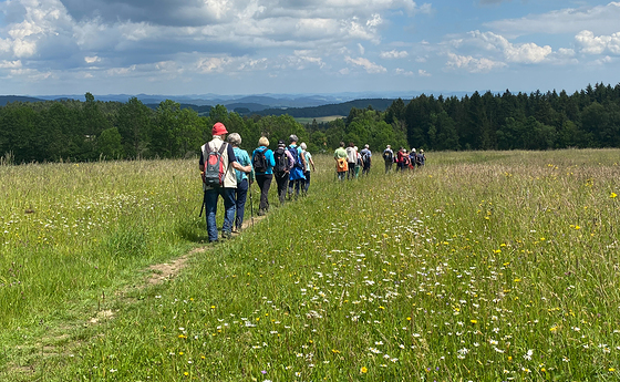 Senioren - Wandertermine Herbst 2024