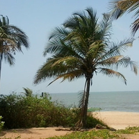 Yoga / © Pater Ransom Pereira Yoga