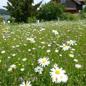 4. Denkmäler- und Marterlroas