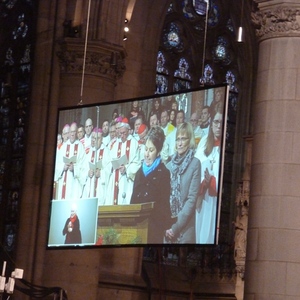 Amtseinführung Bischof Manfred