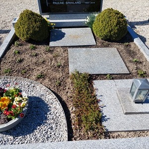 Grabbepflanzung