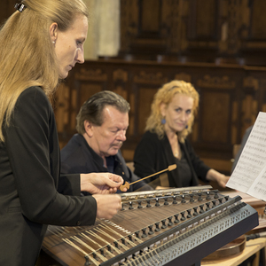 Benefizkonzert zugunsten der Innenrenovierung der Stadtpfarrkirche