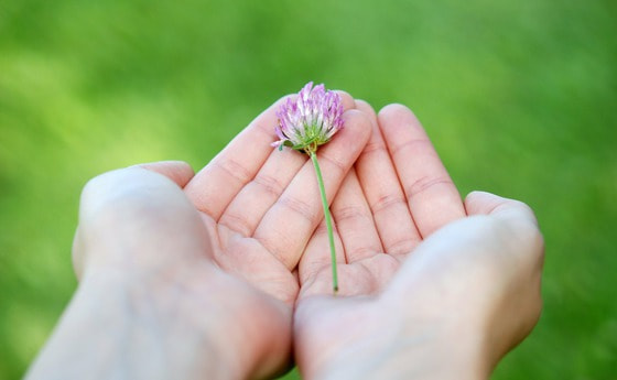 Caritas - Stabilität und Sicherheit geben