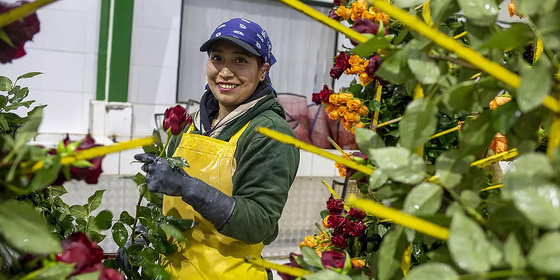 Blanca Roao Pujota Quishpe, Mitarbeiterin bei Hoja Verde.