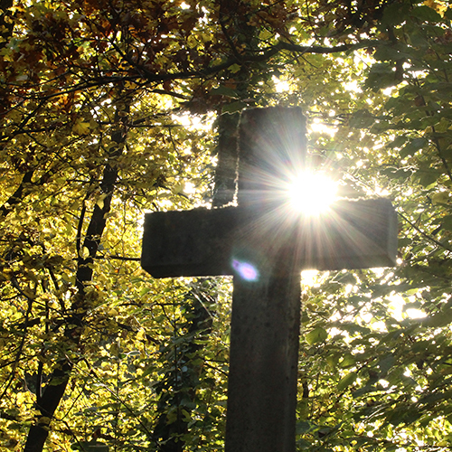 Kreuz im Wald