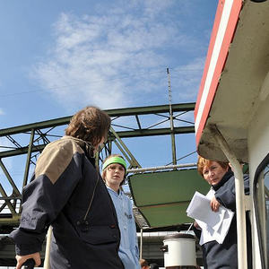 Firmprojekt Hochbeet