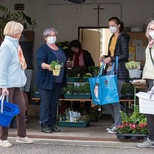 Blumen- und Pflanzenmarkt