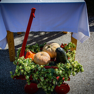 Erntedankfest St.Peter/Hart