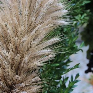 Erntedankfest in St. Quirinus 2022