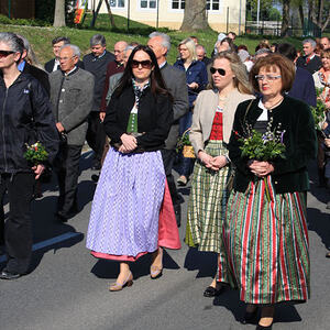 Palmweihe und Festzug
