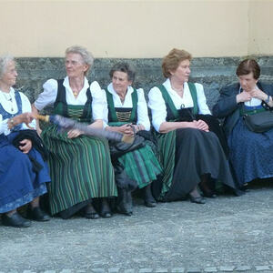 Bezirksgoldhaubentreffen 2013 