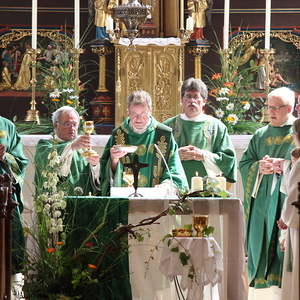 Priesterjubiläen 2015