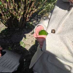 Ostereiersuche im Pfarrgarten