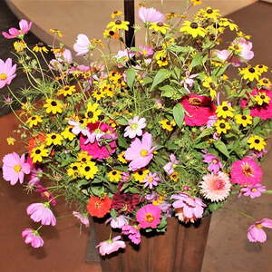 Kräutersegnung zu Maria Himmelfahrt