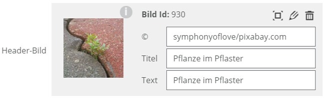 hochgeladenes Headerbild