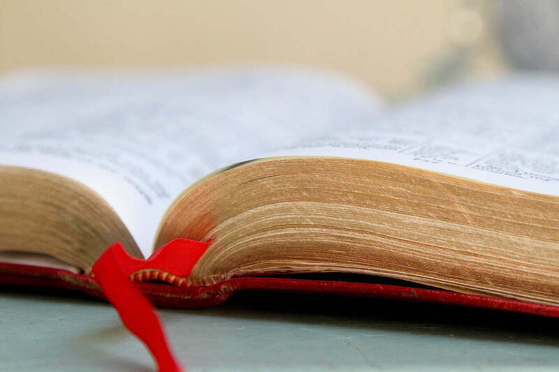 Lektorinnen und Lektoren