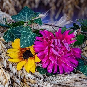 Erntedankfest St.Peter/Hart