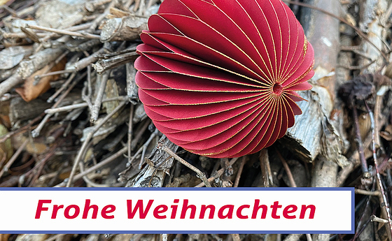 Frohe Weihnachten 2021