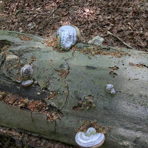 meditative Pilgerwanderung 28.4.18