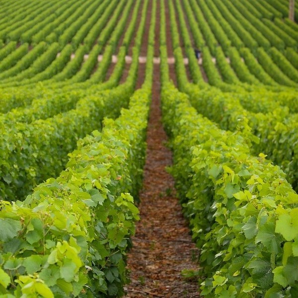 Pixabay