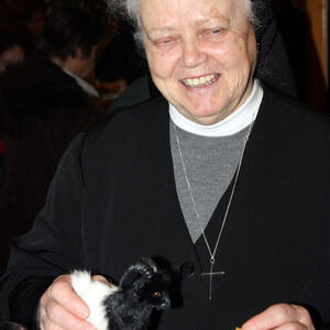 Eröffnung der Bibelausstellung 