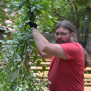 Vorbereitungen für das Pfarrfest