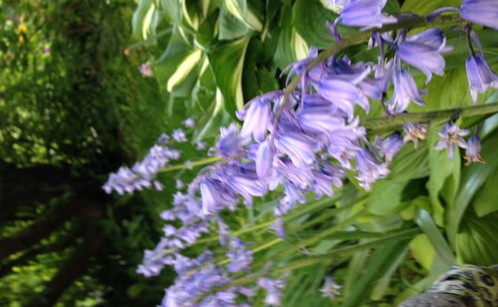 Frühling im Haus der Frau