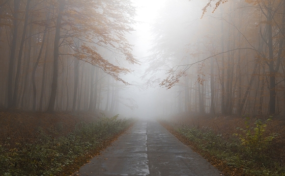 Perspektivlosigkeit / © pexels / www.pixabay.com CC0 1.0 Perspektivlosigkeit