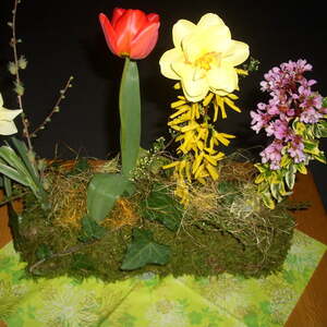 Jahreshauptversammlung 2011