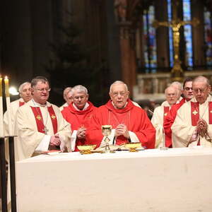 85. Geburtstag, Linzer Mariendom (26.1.2017)