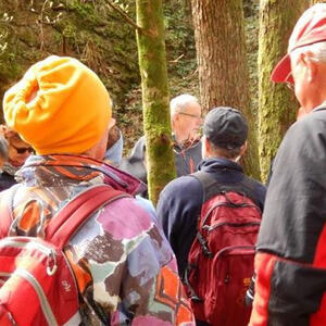 Meditative Pilgerwanderung