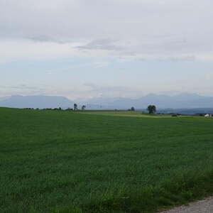 Maiandacht in Wolfing     