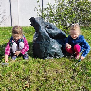 Auch heuer wieder Blühstreifen