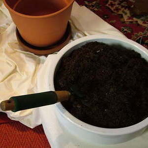 Welche Vorhaben mussten wir begraben?