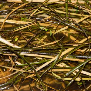 mit Erstkommunionmüttern und -kindern