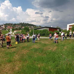 Blick auf Büchlberg