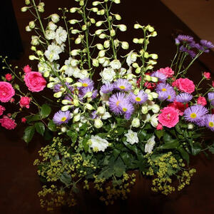 Se sesationals am 12.6.2016