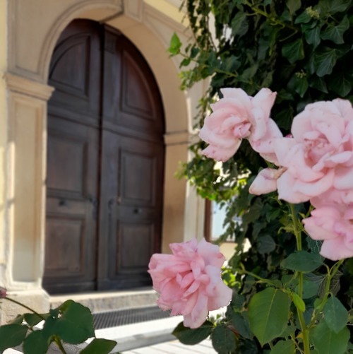 Die Türe der Pfarrkirche mit rosaroten Rosen im Vordergrund