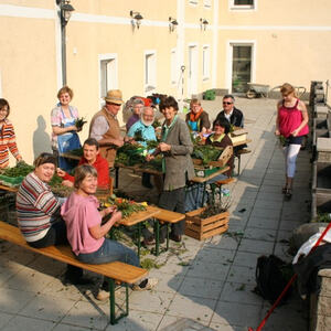 Eine-Welt-Kreis bindet 600 Palmbuschen