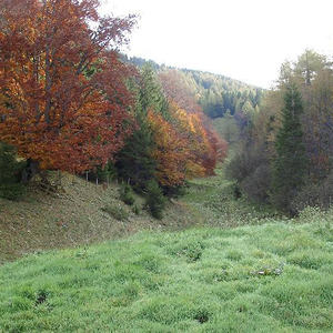 Gedenkfeier